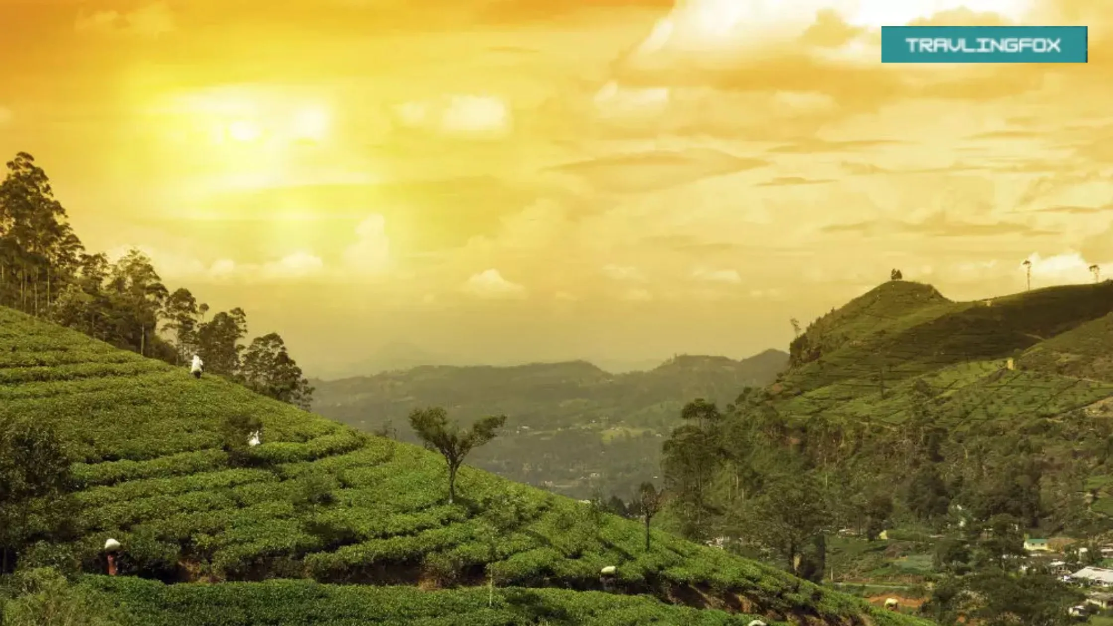 Places to Visit in Assam