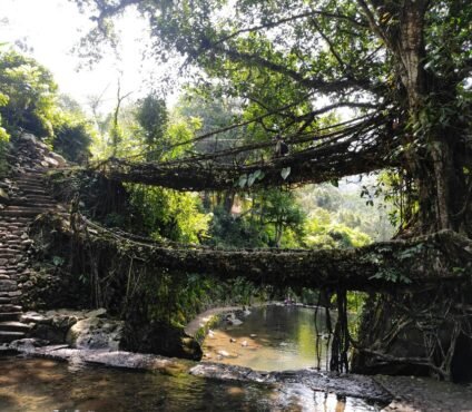Bamboo Trek Meghalaya