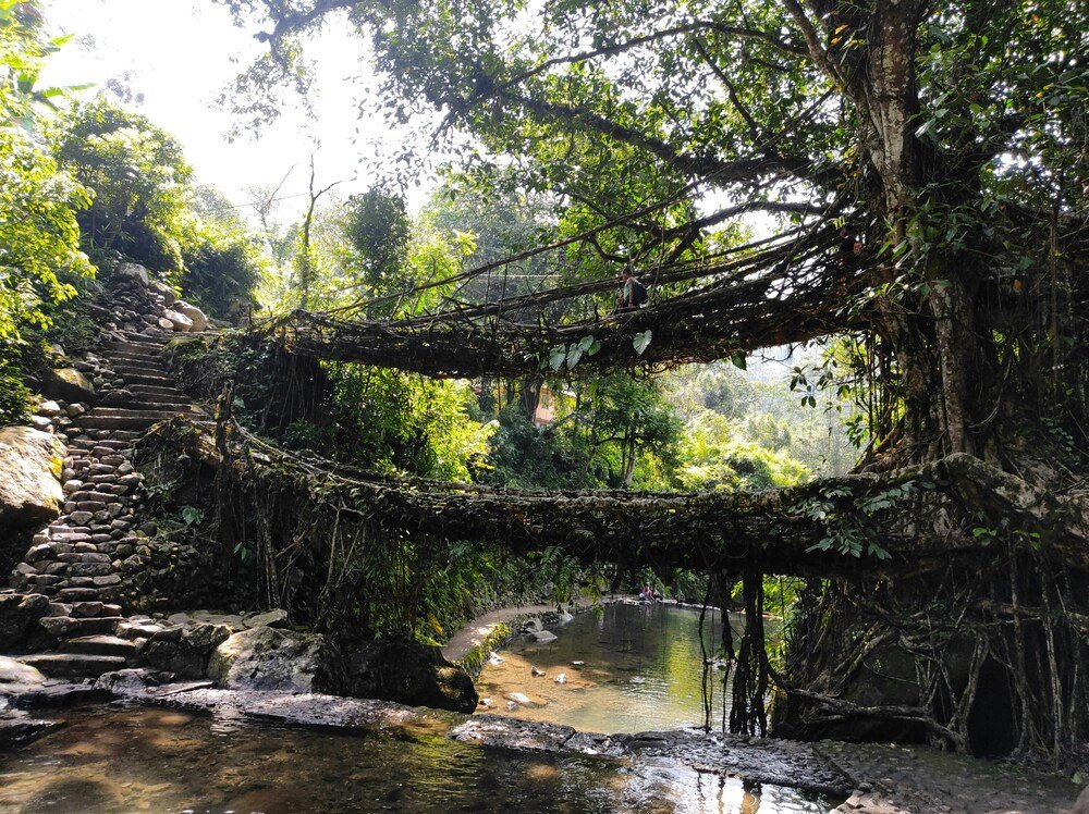 Bamboo Trek Meghalaya