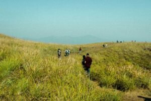 Trekking in Wayanad